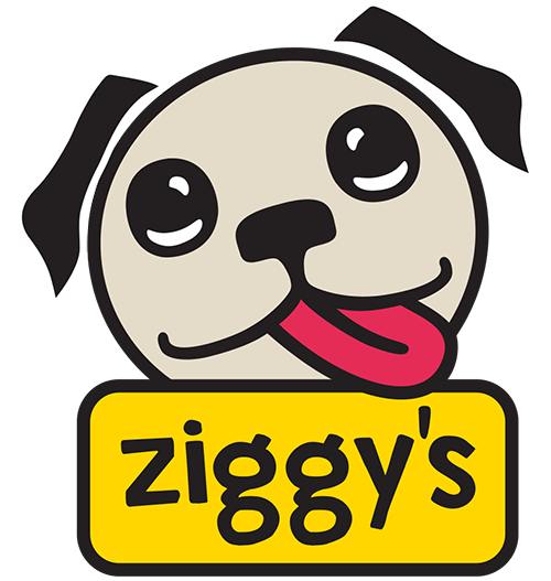 Ziggys Frozen Yogurt Taos Logo